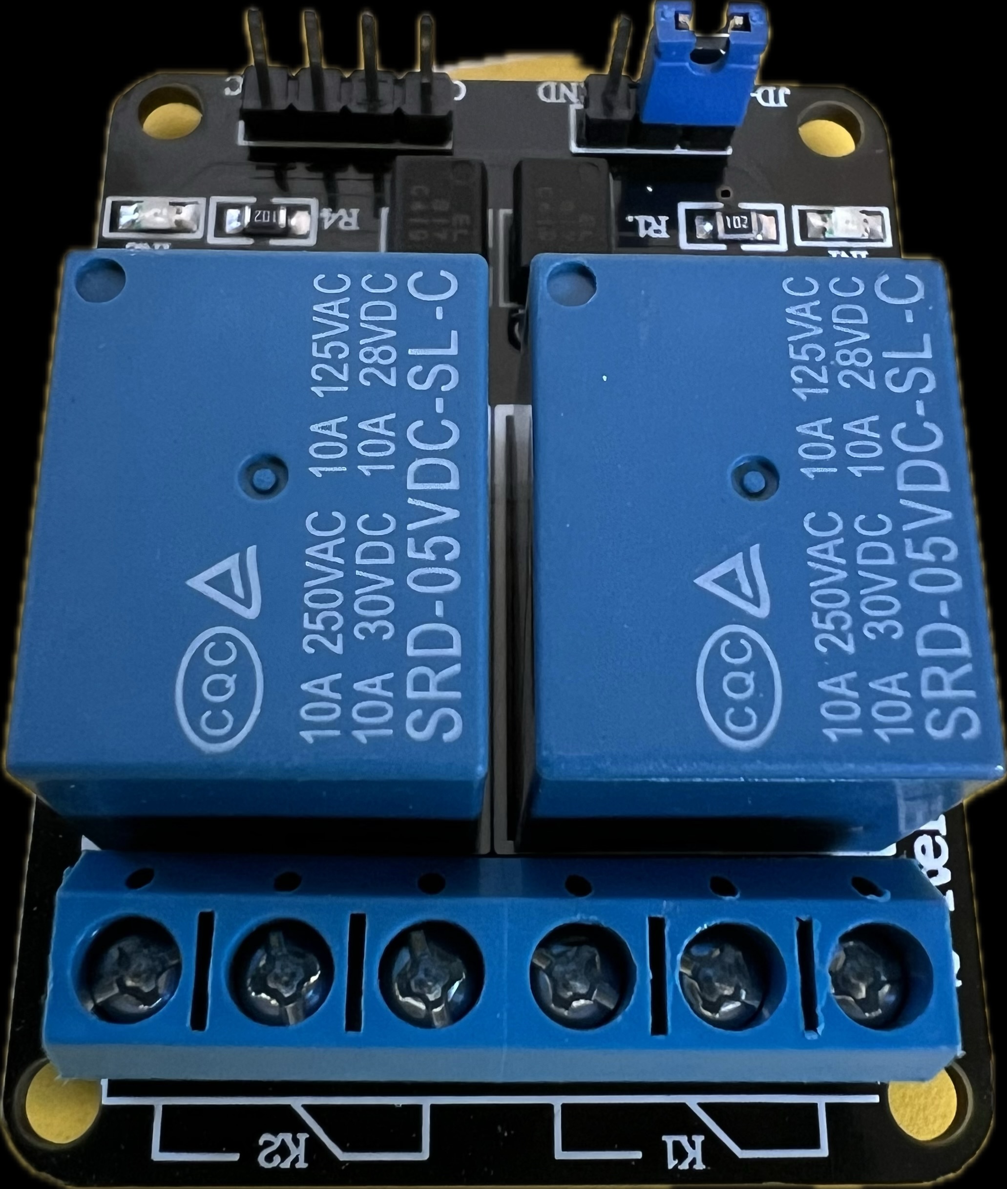 2 Channel 10 Amp Relay